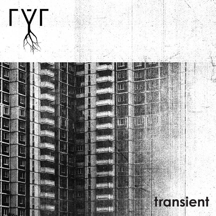  transient by rýr - out 2022/10/08 - pre-order from Golden Antenna Records